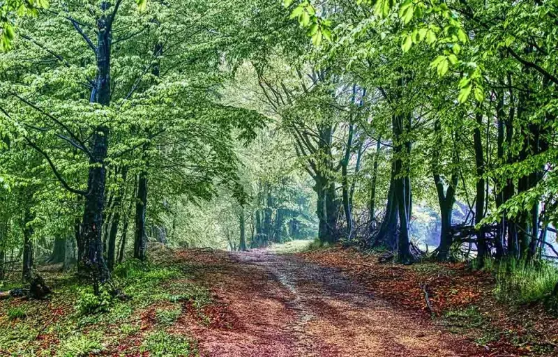 A-magus-ladikoja-giftforyou14