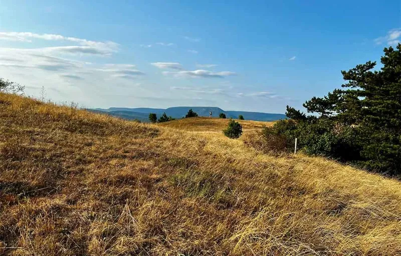 agrofhalalagiftforyou12 agrofhalalagiftforyou12