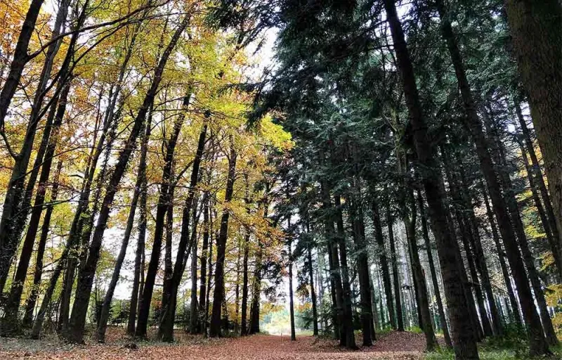 aravaszszornyektavagiftforyou13 aravaszszornyektavagiftforyou13