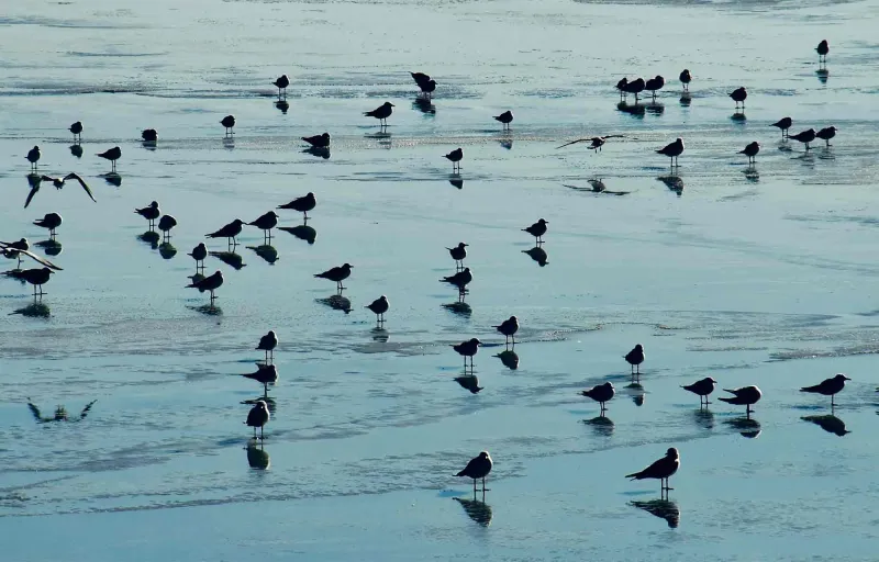 aravaszszornyektavagiftforyou14 aravaszszornyektavagiftforyou14