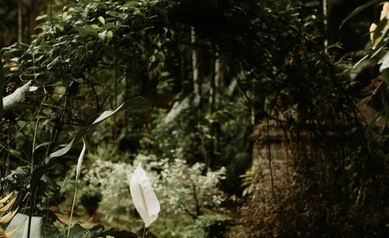 azelveszettszentelygiftforyou12 azelveszettszentelygiftforyou12