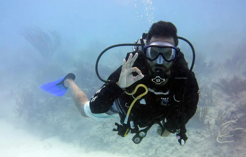 delfinbuvargiftforyou50 delfinbuvargiftforyou50