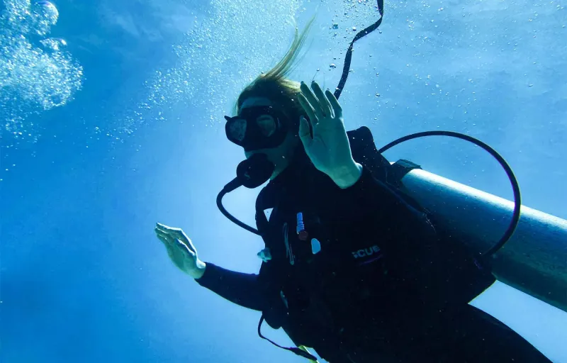 delfinbuvargiftforyou51