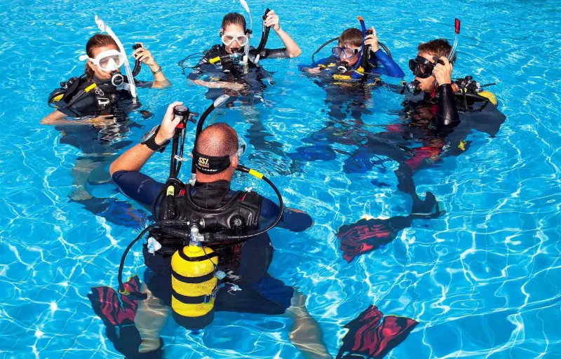 delfinbuvargiftforyou52