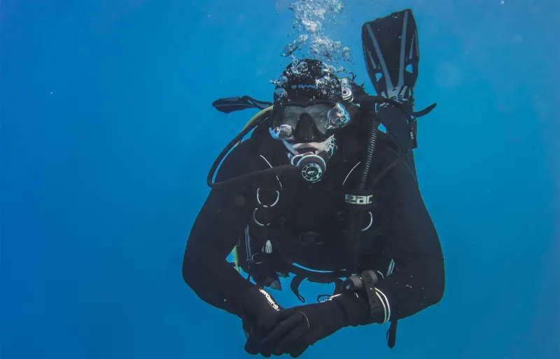 delfinbuvargiftforyou53 delfinbuvargiftforyou53