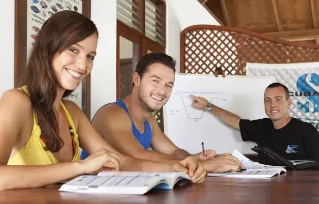 delfinbuvargiftforyou58