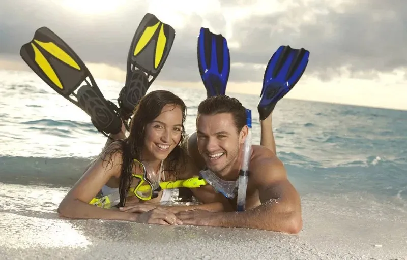 delfinbuvargiftforyou60