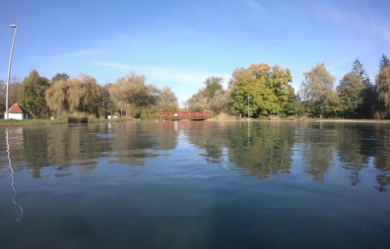 delfinbuvargiftforyou61