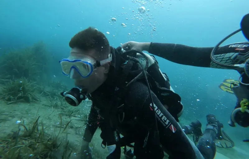 delfinbuvargiftforyou62