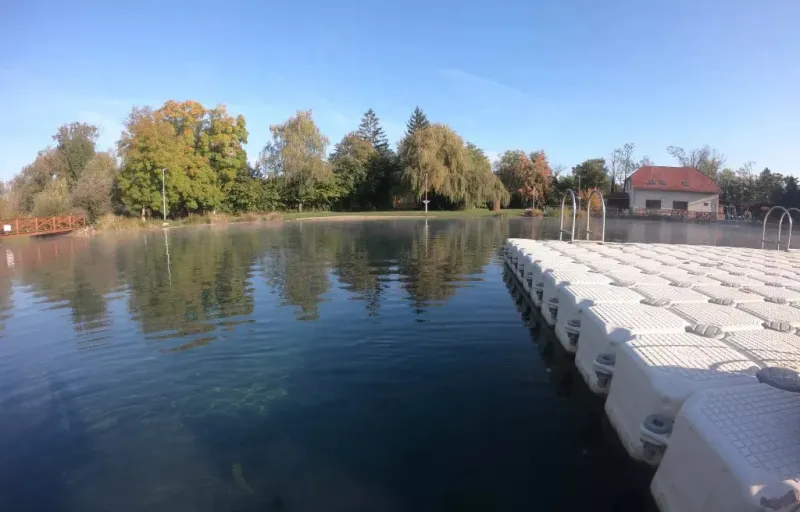 delfinbuvargiftforyou63