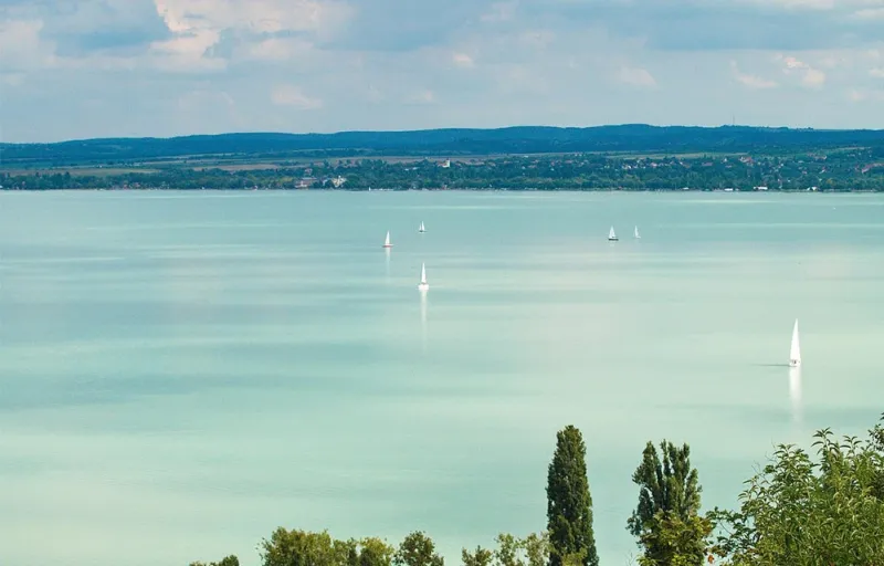 dorgicseizombikgiftforyou14 dorgicseizombikgiftforyou14