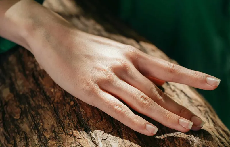 erdofurdogiftforyou1 erdofurdogiftforyou1