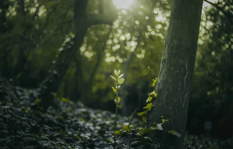 erdofurdogiftforyou3 erdofurdogiftforyou3