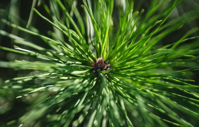 erdofurdogiftforyou4 erdofurdogiftforyou4