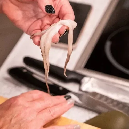 fruttidimarefozotanfolyamgiftforyou2