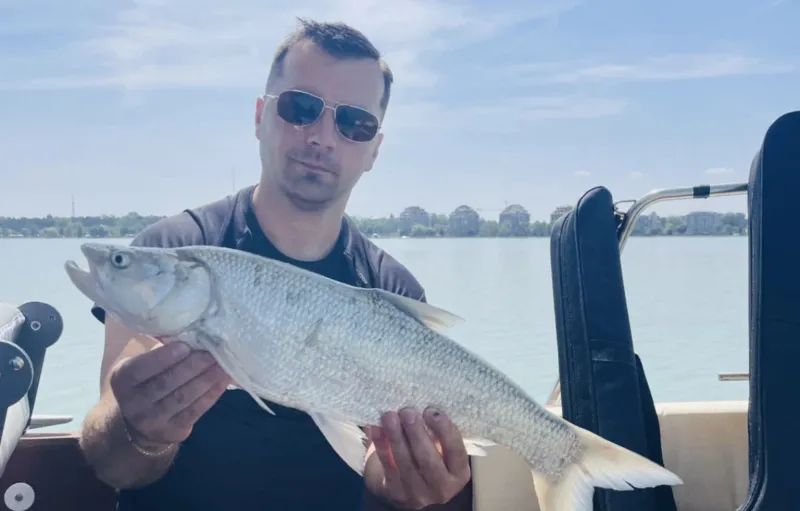 hajoberlessiofokhorgaszatgiftforyou6