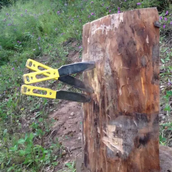 kesdobalasgiftforyou2