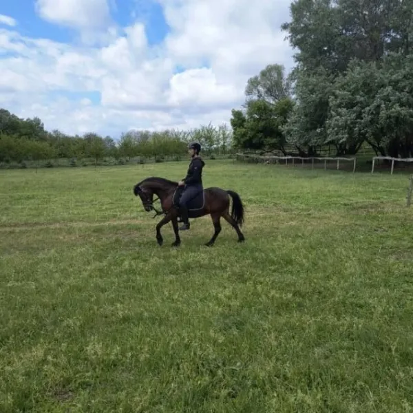 lovaglasgiftforyou lovaglasgiftforyou