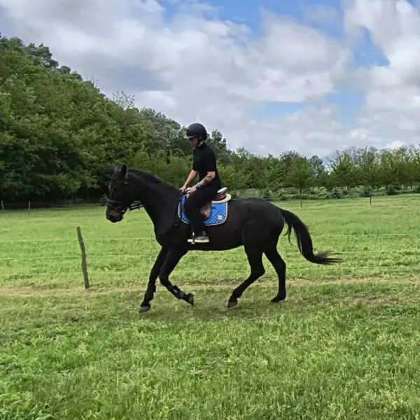 lovaglasgiftforyou1 lovaglasgiftforyou1