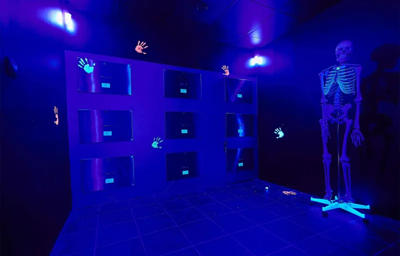 Rejtélyesrendelogiftforyou1