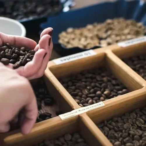 specialitybaristatanfolyamgiftforyou4 specialitybaristatanfolyamgiftforyou4