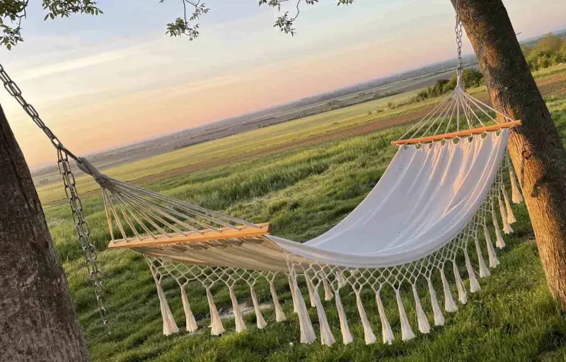 woodygiftforyou13 woodygiftforyou13