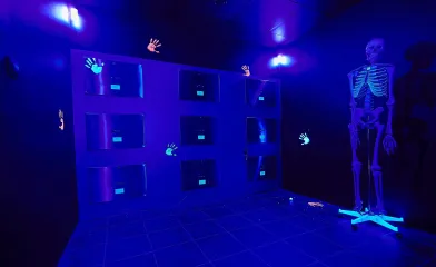 Rejtélyes Rendelő | 4 fő